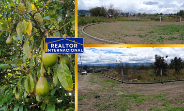 Venta de terrenos en Montalvo - Totoras