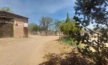 En VENTA RANCHO Rincón de Romos