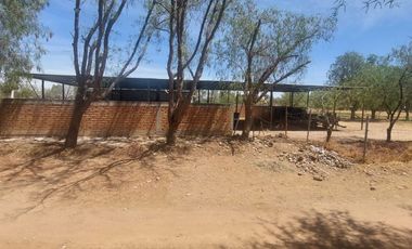 En VENTA RANCHO Rincón de Romos