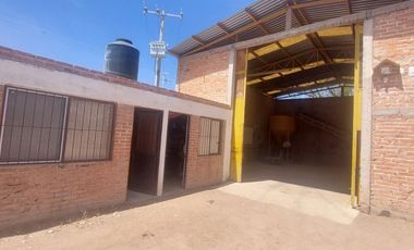 En VENTA RANCHO Rincón de Romos