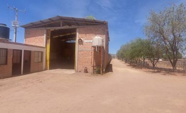 En VENTA RANCHO Rincón de Romos