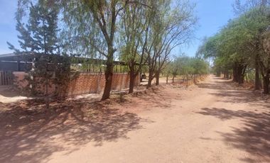 En VENTA RANCHO Rincón de Romos