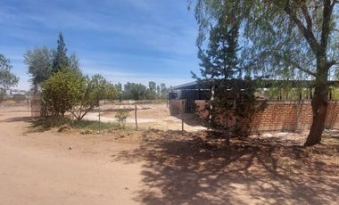En VENTA RANCHO Rincón de Romos