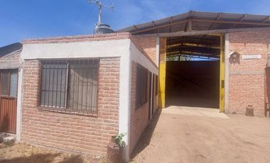 En VENTA RANCHO Rincón de Romos