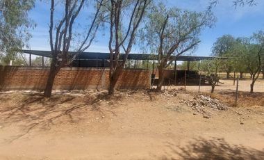 En VENTA RANCHO Rincón de Romos