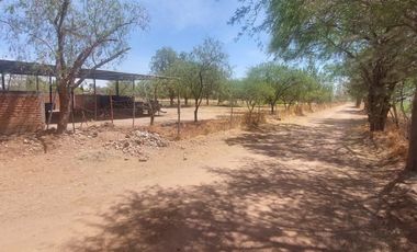 En VENTA RANCHO Rincón de Romos