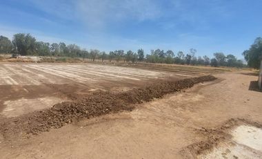 En VENTA RANCHO Rincón de Romos