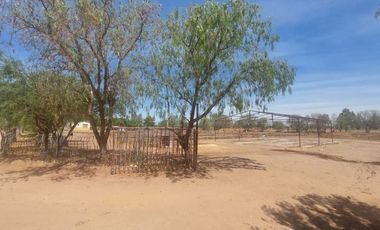 En VENTA RANCHO Rincón de Romos