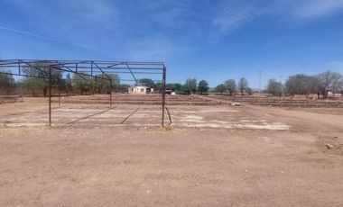 En VENTA RANCHO Rincón de Romos