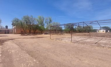 En VENTA RANCHO Rincón de Romos