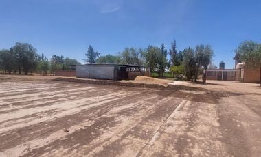 En VENTA RANCHO Rincón de Romos