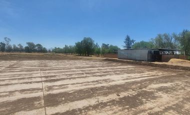 En VENTA RANCHO Rincón de Romos