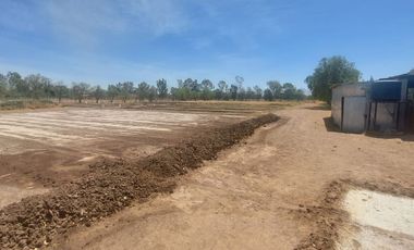 En VENTA RANCHO Rincón de Romos