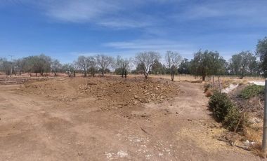 En VENTA RANCHO Rincón de Romos