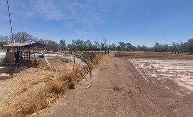 En VENTA RANCHO Rincón de Romos