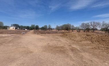 En VENTA RANCHO Rincón de Romos