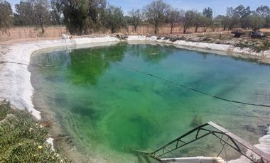 En VENTA RANCHO Rincón de Romos