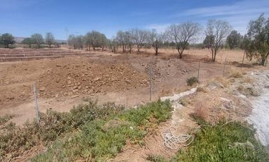 En VENTA RANCHO Rincón de Romos