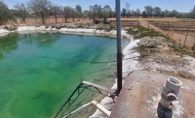 En VENTA RANCHO Rincón de Romos