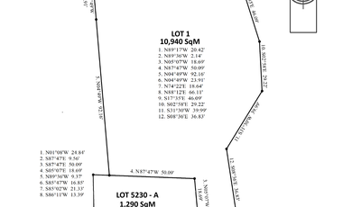Strategic 1.2-Hectare Ideal for Mixed-Use, 60-Meter Frontage, Lot for Sale Along Ibaan–San Jose Road, Batangas