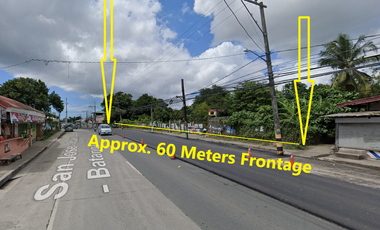 Strategic 1.2-Hectare Ideal for Mixed-Use, 60-Meter Frontage, Lot for Sale Along Ibaan–San Jose Road, Batangas