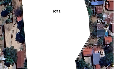 Strategic 1.2-Hectare Ideal for Mixed-Use, 60-Meter Frontage, Lot for Sale Along Ibaan–San Jose Road, Batangas