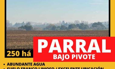 Terreno en venta en Linares, Parral