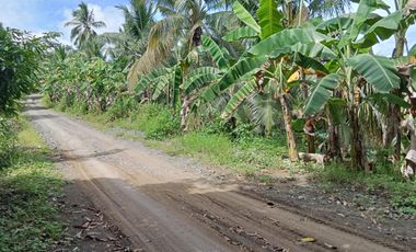 Farm lot for Sale In Alubijid