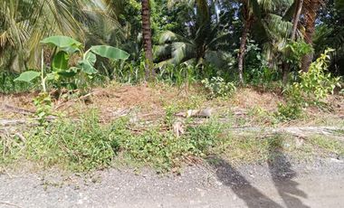 Farm lot for Sale In Alubijid