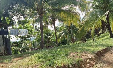 Farm lot for Sale In Alubijid