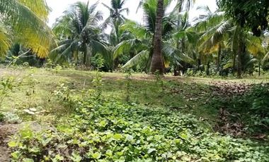 Farm lot for Sale In Alubijid