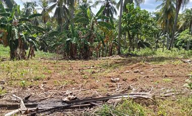 Farm lot for Sale In Alubijid
