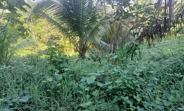 Farm lot for Sale In Alubijid