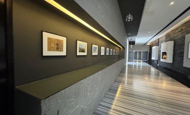 DEPARTAMENTO AMUEBLADO EN RENTA ANGELOPOLIS PUEBLA PUE. JUNTO A HOSPITAL PUEBLA