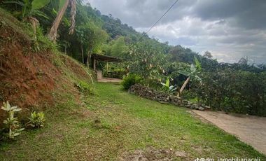 SE VENDE FINCA EN DAPA VÍA MIRAVALLE LA BUITRERA YUMBO