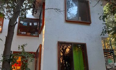 Linda Parcela con bosque nativo en Paine 