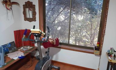Linda Parcela con bosque nativo en Paine 