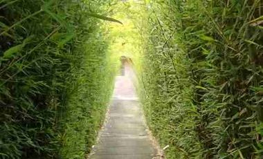 Venta de hermosa Hostería en Urcuqui Chachimbiro