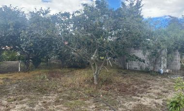 Vendo Terreno de 870m, Malchingui