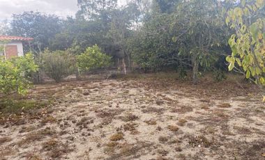 Vendo Terreno de 870m, Malchingui