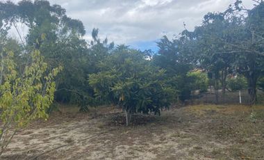 Vendo Terreno de 870m, Malchingui