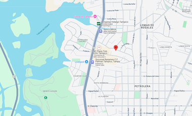 CASA EN LOMA BLANCA, LOMAS ROSALES, TAMPICO