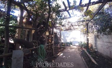 Abanderado Ibieta Central