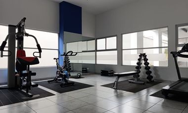 ✨ ¡Estudio ideal cerca de la Universidad Católica! 🏙
