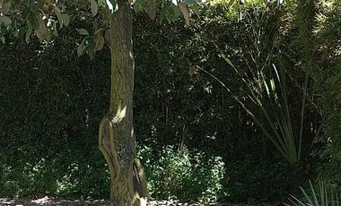 Casa de venta en Urb. Auqui Chico, Cumbayá