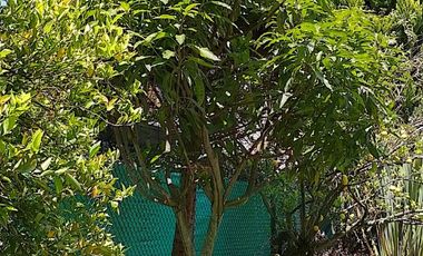 Casa de venta en Urb. Auqui Chico, Cumbayá