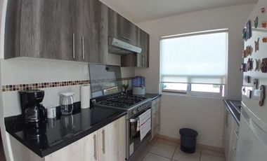 ¡Tu nuevo hogar en Tequisquiapan! 🏡 Casa de 1 planta con alberca y seguridad 💦🔐