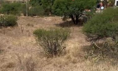 TERRENO EN VENTA LA CRUZ DE PIEDRA TECOZAHUTLA HIDALGO