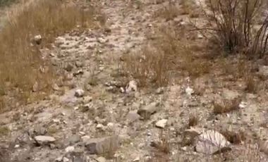 TERRENO EN VENTA LA CRUZ DE PIEDRA TECOZAHUTLA HIDALGO