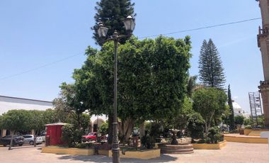 TERRENO EN VENTA LA CRUZ DE PIEDRA TECOZAHUTLA HIDALGO